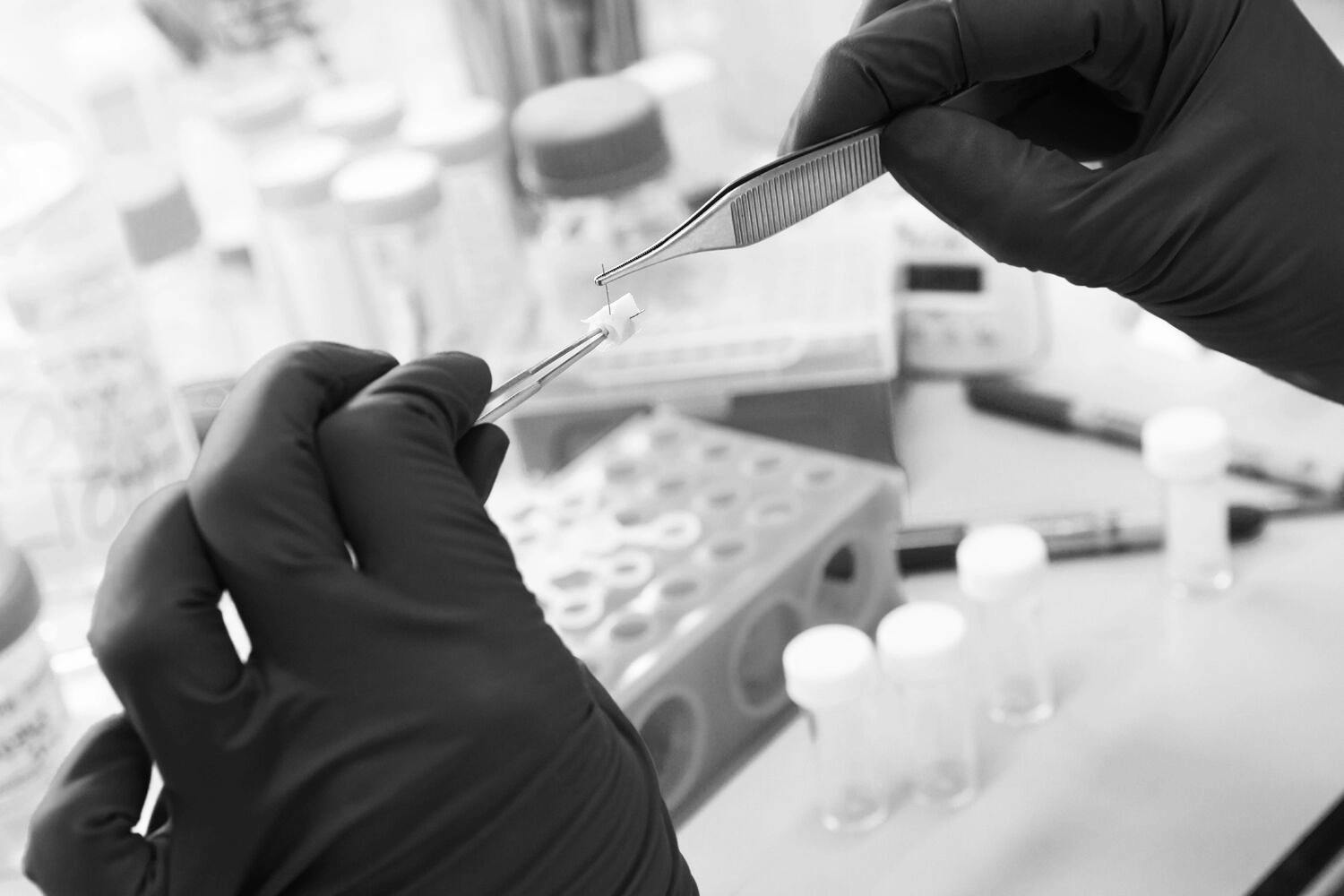 A close-up photo of a researcher's hands wearing latex gloves, holding research equipment.