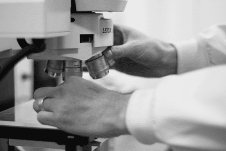 Photo of a researcher's hands on a microscope.