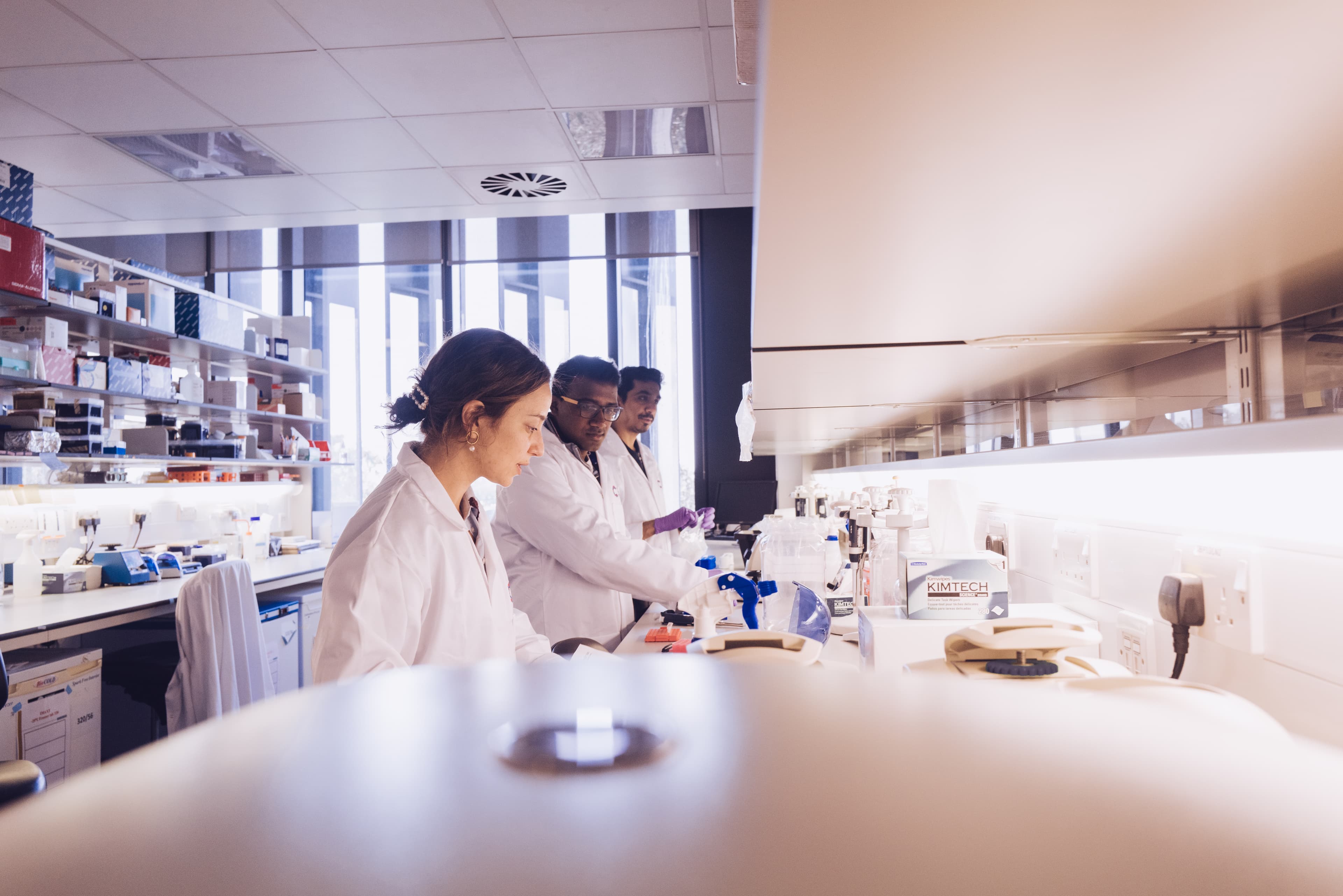 Moments captured at the Cambridge lab with researchers working in the lab alone as well as with fellow researchers.