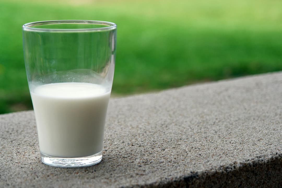 Glass of milk.