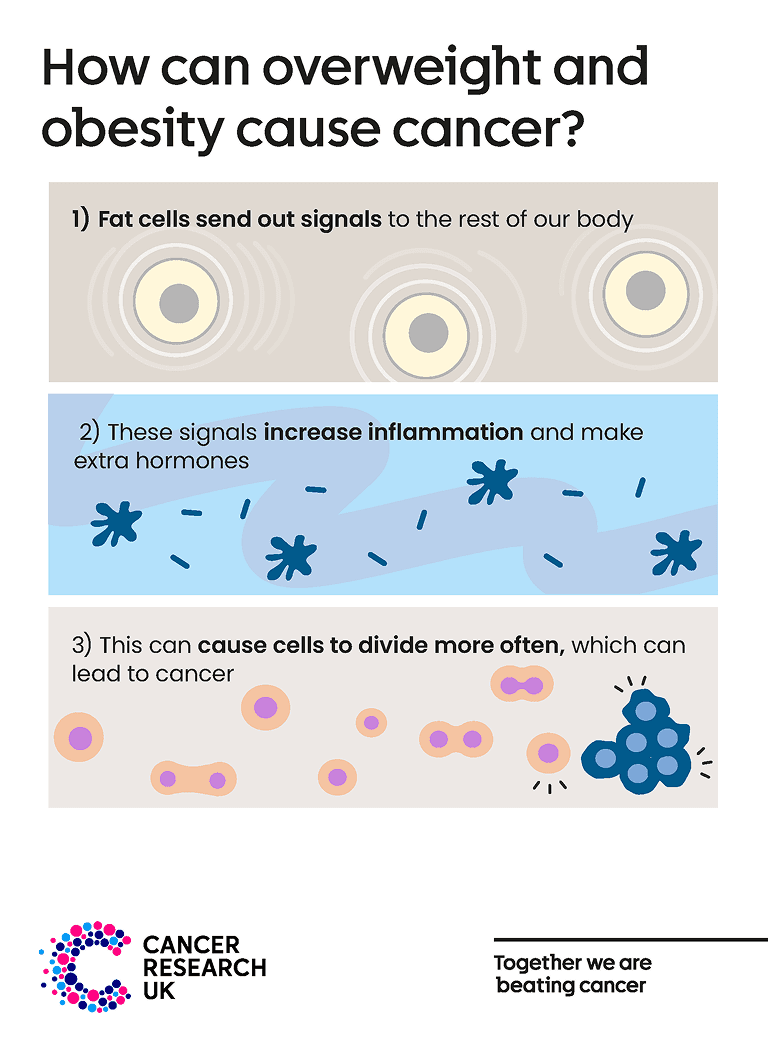 How does overweight and obesity cause cancer.