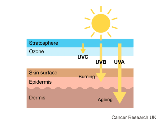 Types of UV rays illustration.