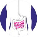 An icon showing the small bowel.