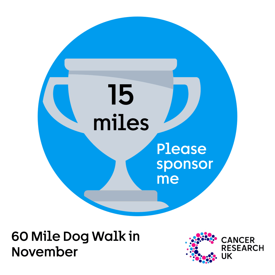 A silver trophy against a light blue background, text reads 'please sponsor me' with '15 miles' printed on the trophy.