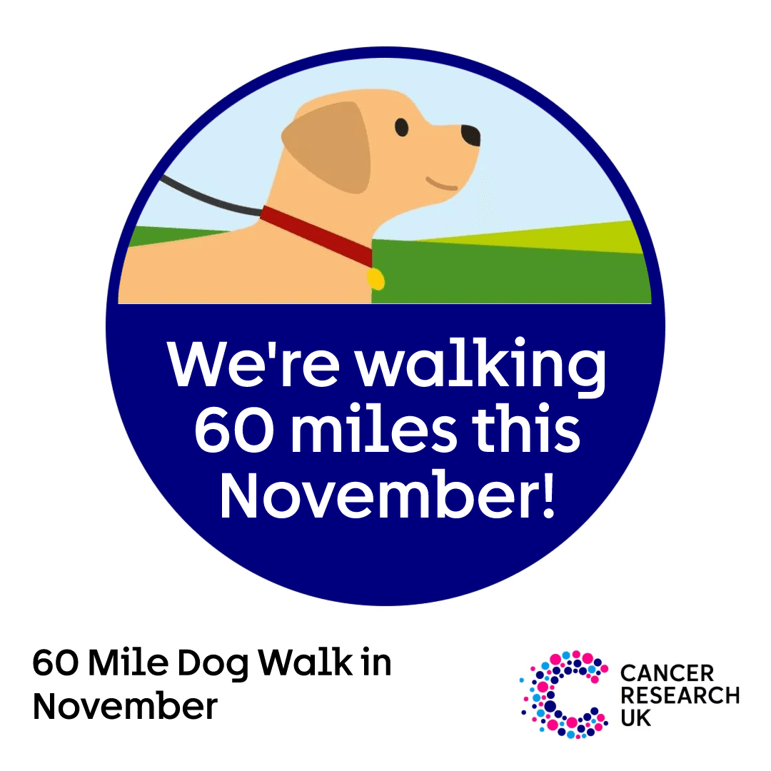 The badge has an illustration of a dog being walked on it and text that reads "We're walking 60 miles this November!".