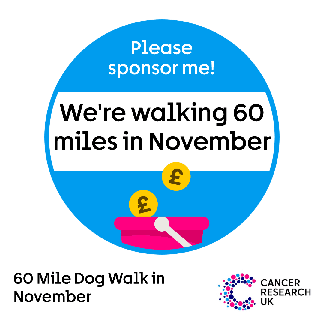 A blue badge with a pink donation bucket and text that reads 'We're walking 60 miles in November. Please sponsor me'.