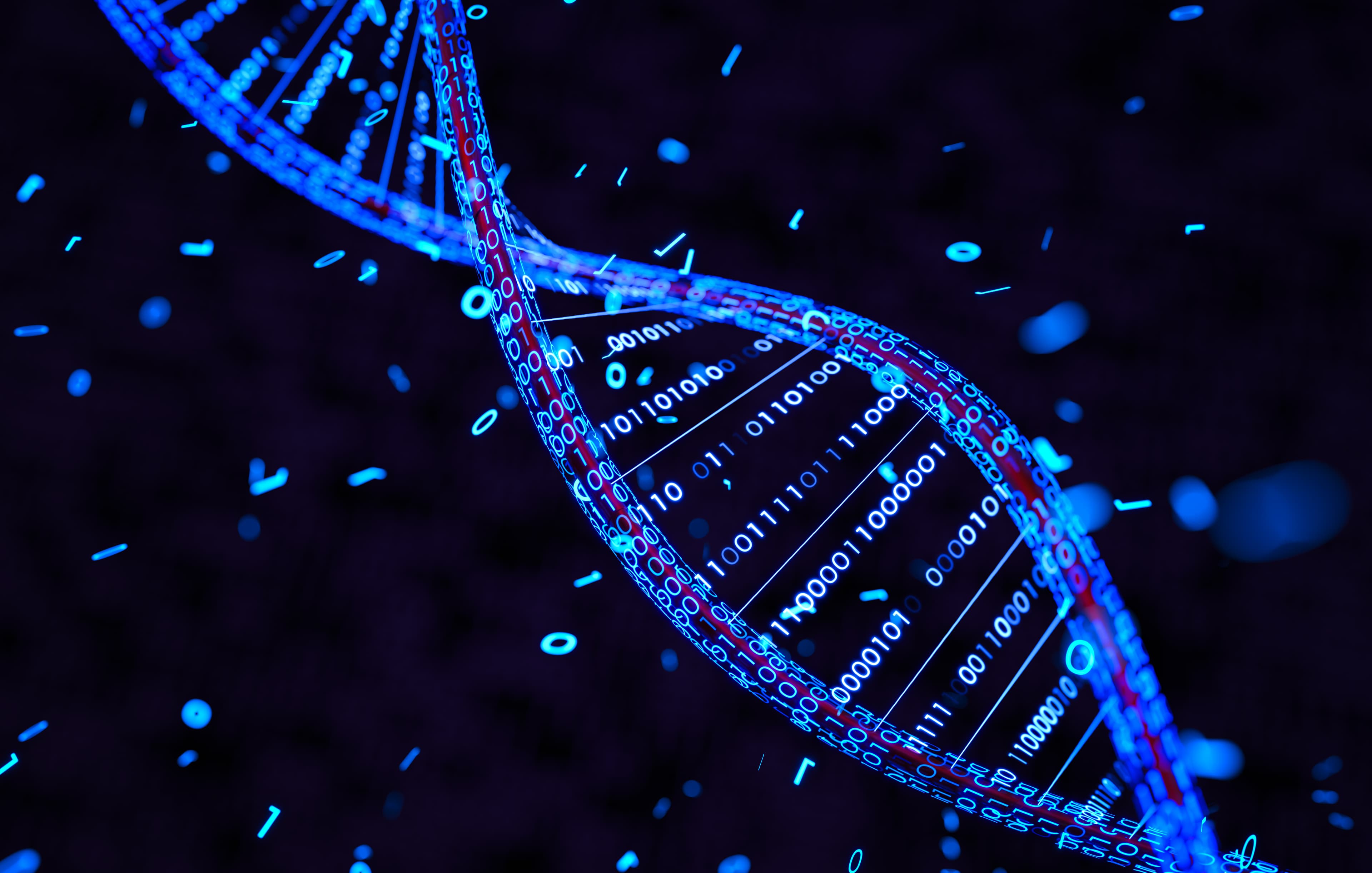 A close up photograph of DNA.