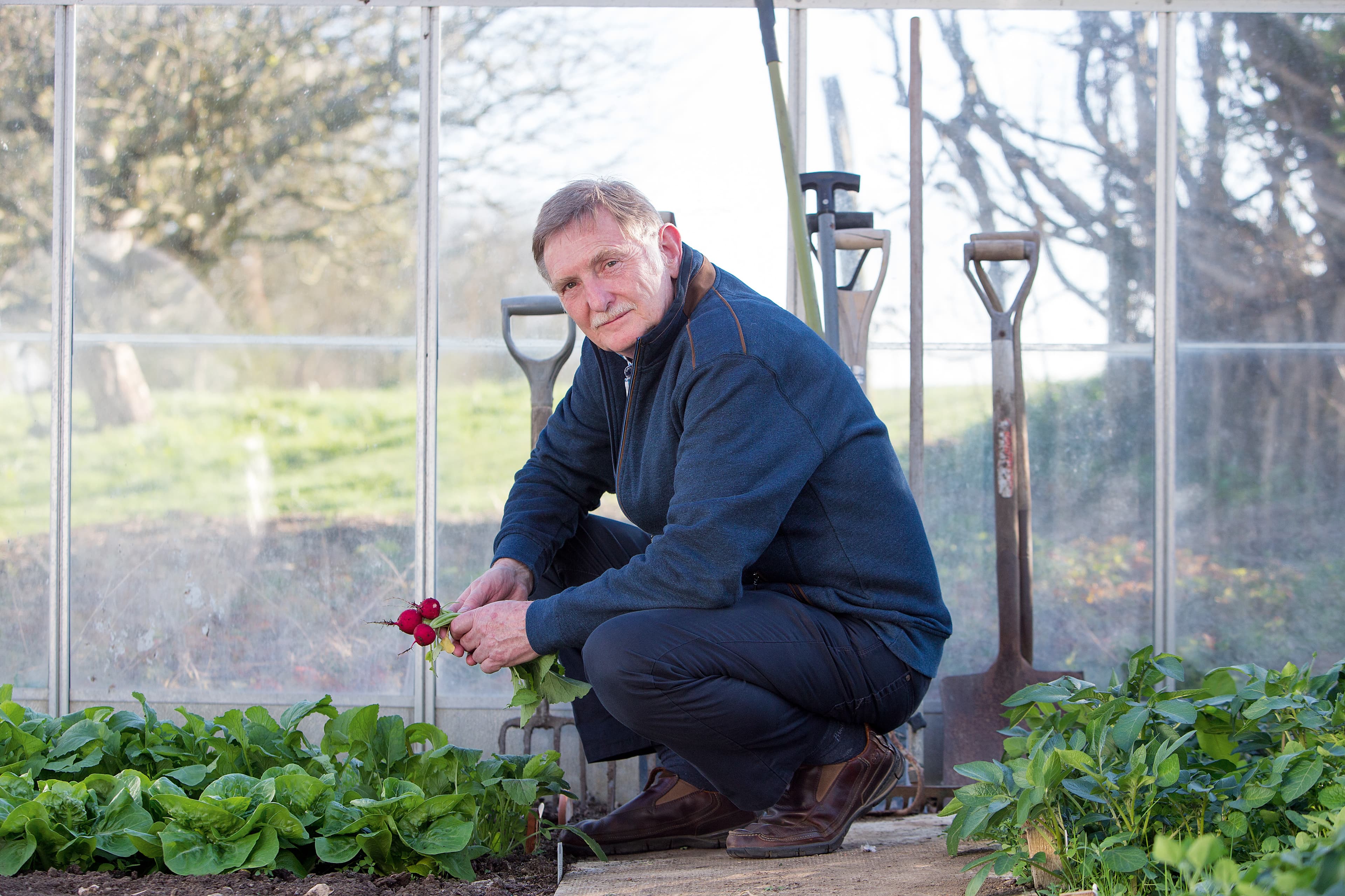 A picture of Tony, an osophageal cancer patient, kneeling down in a greenhouse holding radishes.