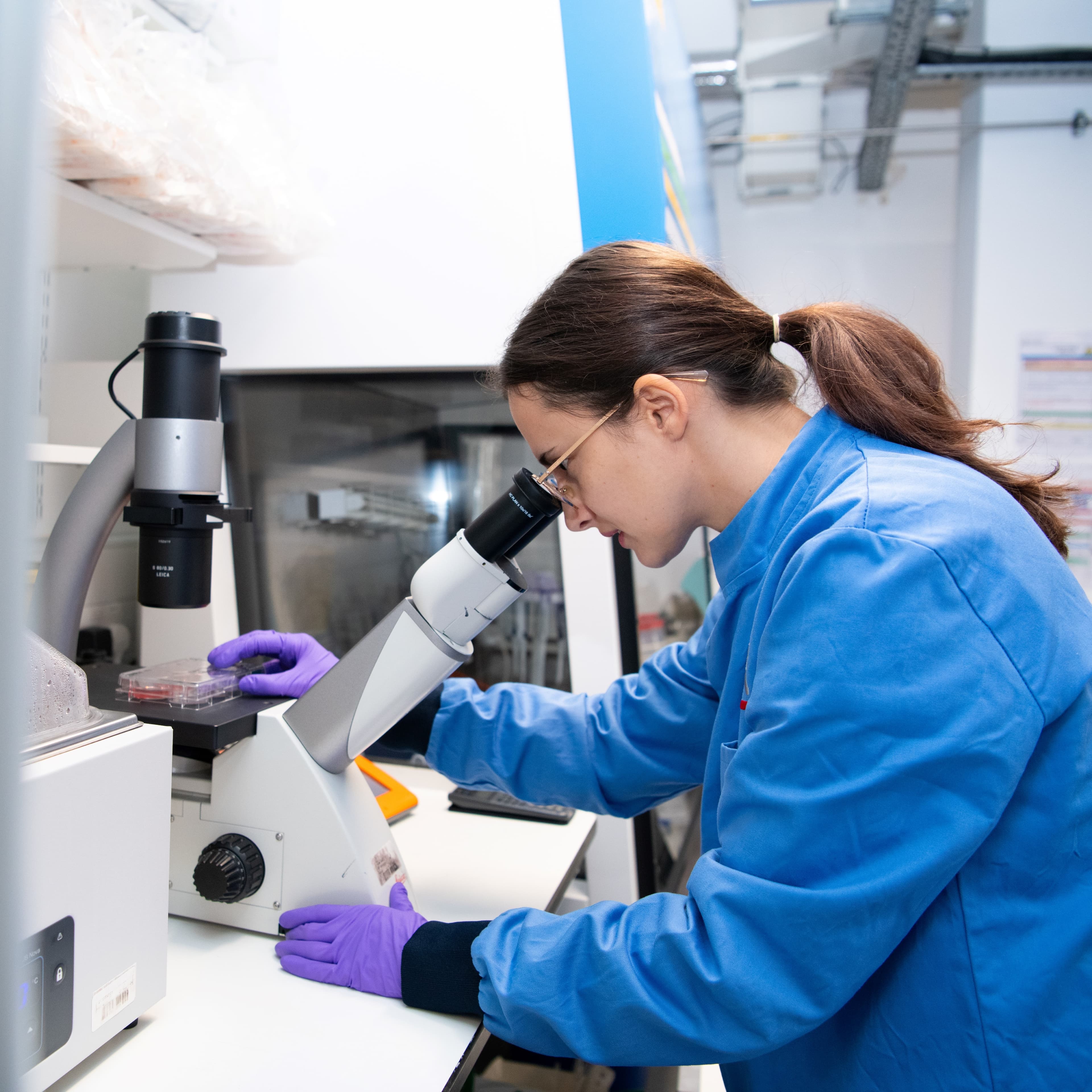 Researcher looking down a microscope.