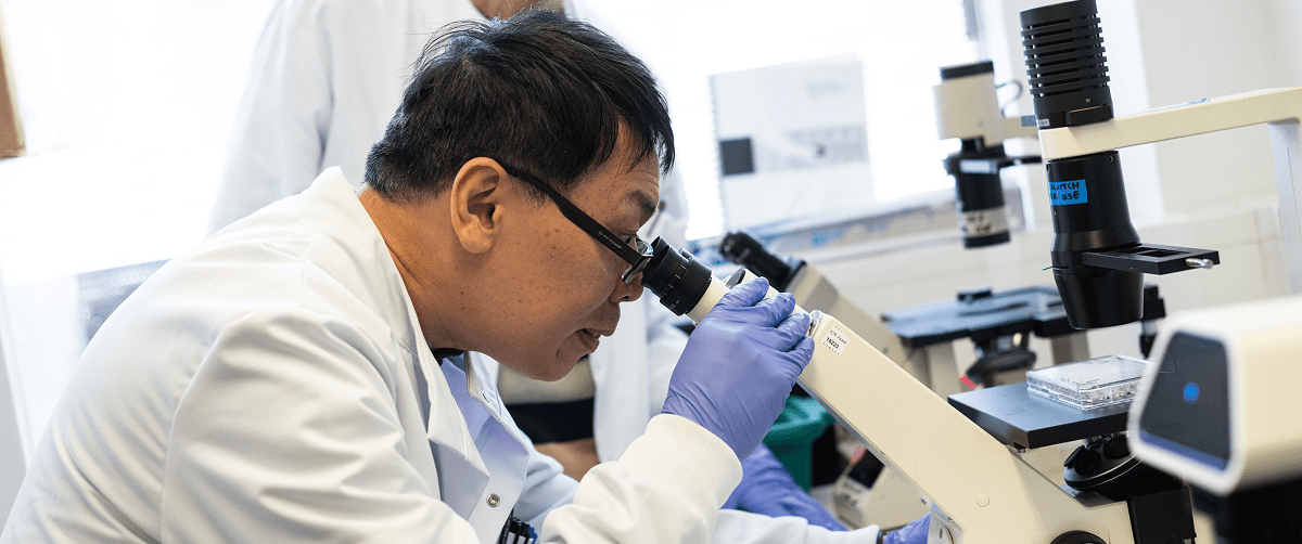 Researcher looking down a microscope.