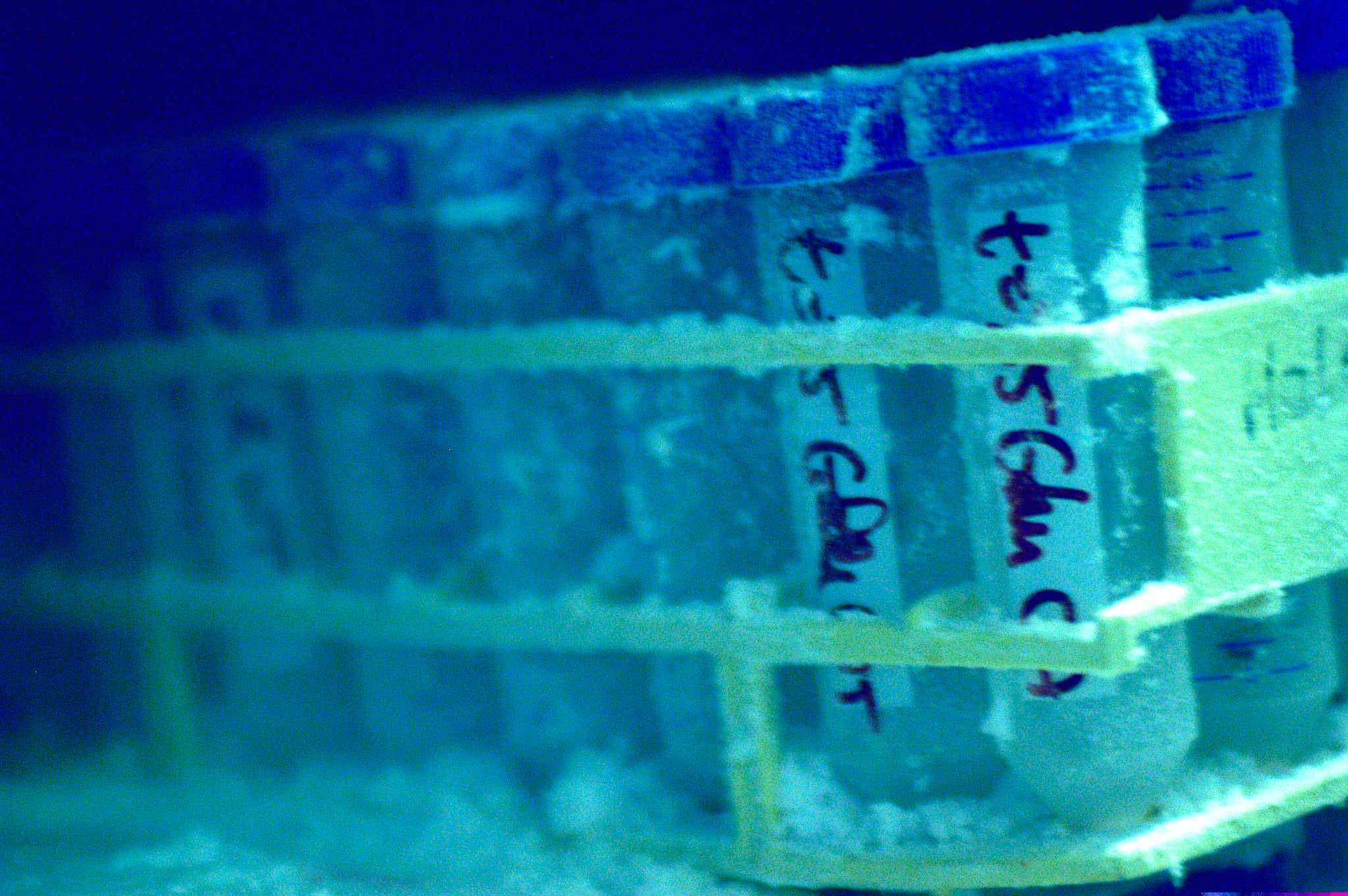 Test tubes in a freezer.