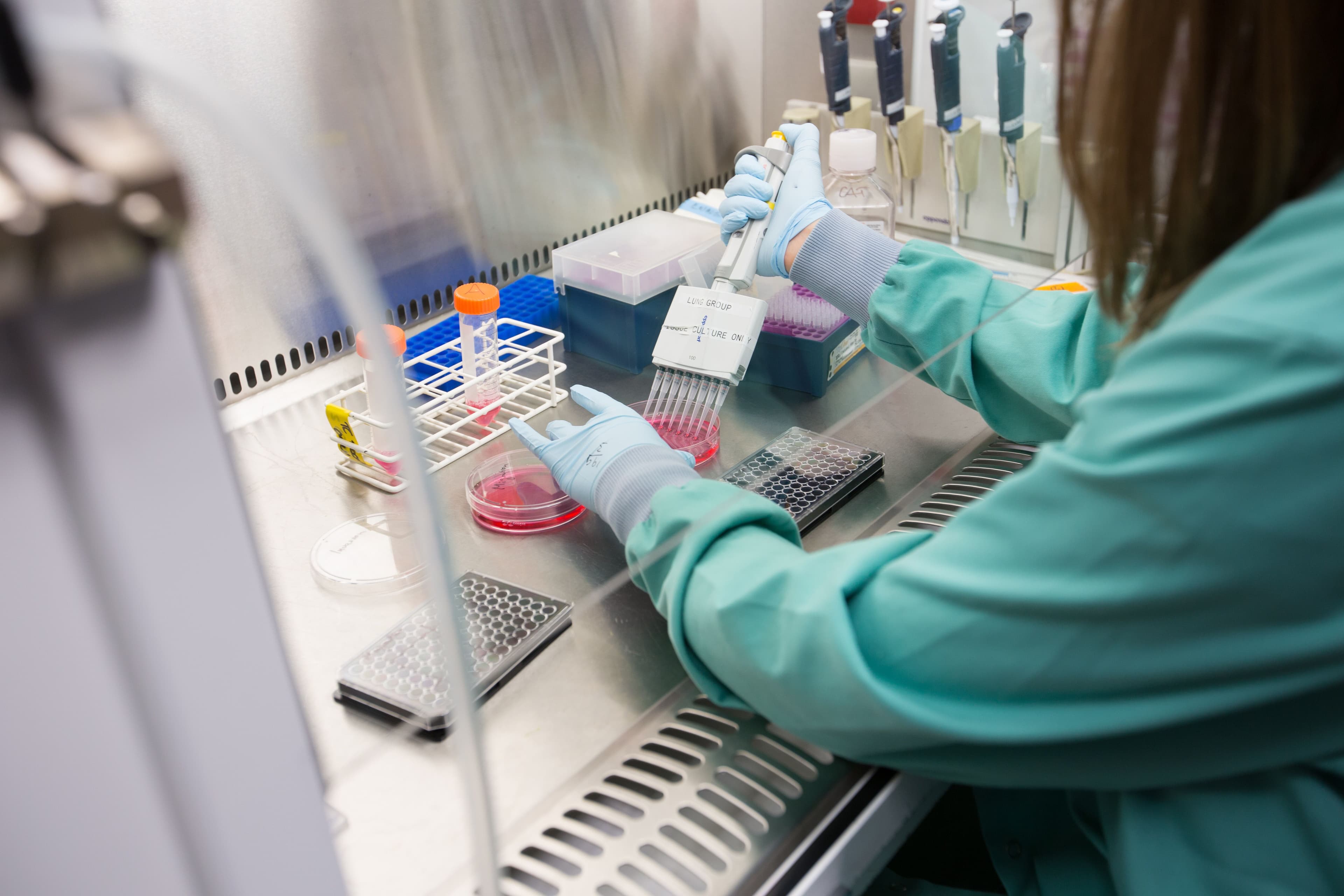 The image shows a scientist working in a laboratory, likely performing cell culture or related biological research.