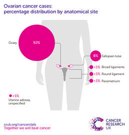 a infographic showing the most common specific location for ovarian cancers in the UK is the ovary itself (2016-2018)