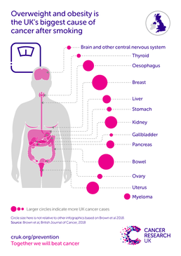 Infographic showing the cancer types caused by obesity.