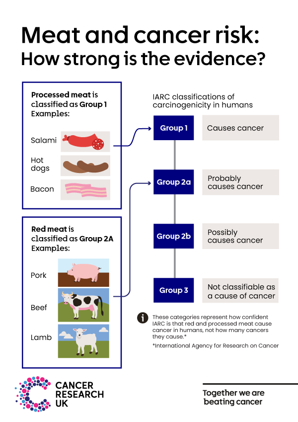 Graphic showing how the International Agency for Research on Cancer classify processed and red meat. Processed meat, like bacon, is classified as causing cancer (group 1). Red meat, like beef and lamb, is classified as probably causing cancer (group 2A). 
