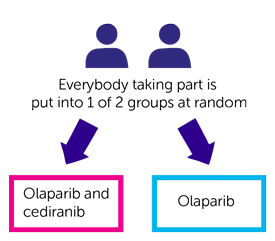 ICON9 trial diagram