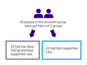 GO2 Trial Diagram